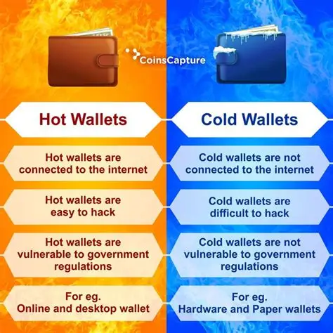 Choosing Between Hot and Cold Storage